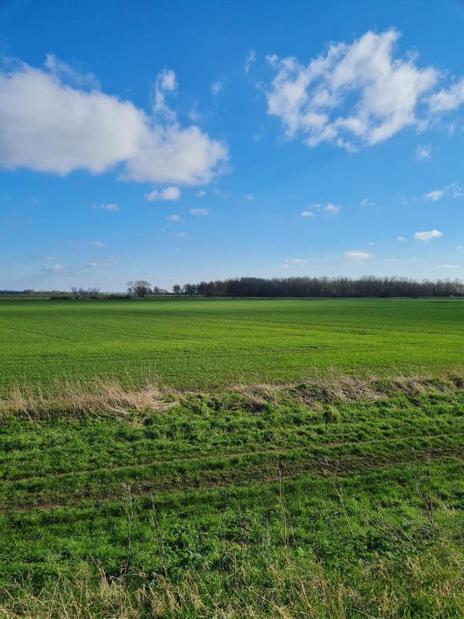 Executive Home With Plenty Of Room Ely Esterno foto
